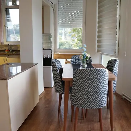 Bosphorus View Entire 2 Bedroom Flat 이스탄불
